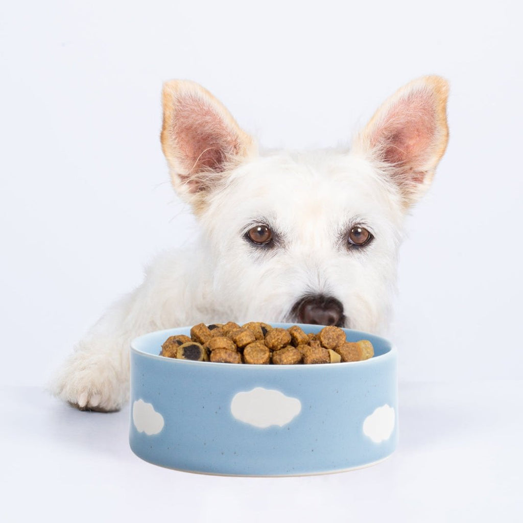 Cloud Pet Bowl 14cm 2 Pieces Set